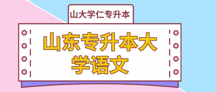 山东大学专升本专业，探索与机遇