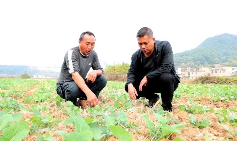 瑞昌县考公务员报考条件详解